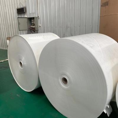 China Offset 280G Jumbo Paper Roll ECO Paper Tea Cup Raw Material for sale