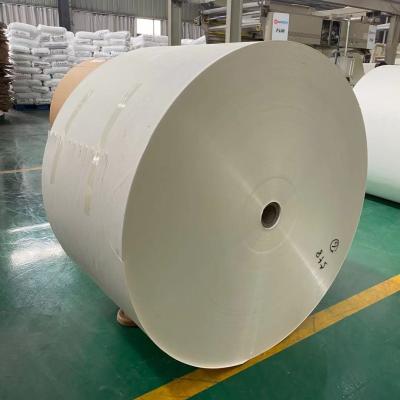 China 13gsm 14gsm PE Coated Paper Roll ISO Paper Cup Raw Materials for sale