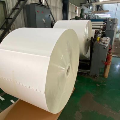 Cina il PE 170Gsm ha laminato singolo/doppio del PE rivestimento di carta del rotolo in vendita