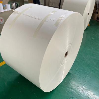 China Recyclable Paper Cup Raw Material 190g+15g PE Coated Paper Rolls for sale