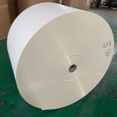 China 190gsm Waterproof Flexo Jumbo Paper Raw Material For Paper Cups for sale