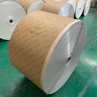 Cina PE che ricopre 260GSM larghezza di carta enorme del rotolo 600mm-1300mm in vendita