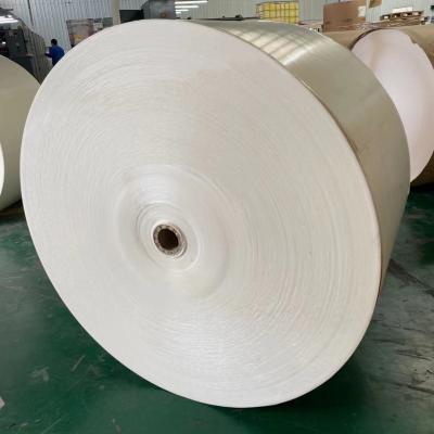 China Papel revestido 1200mm do PE enorme de papel de Eco 300g na polpa mecânica química do rolo à venda