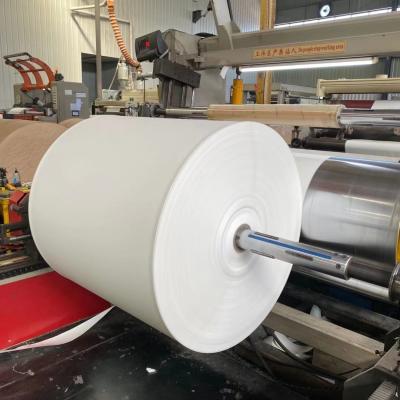 China Biodegradable Eco-Friendly PE Coated Paper Roll Cuatom Size And Printing for sale