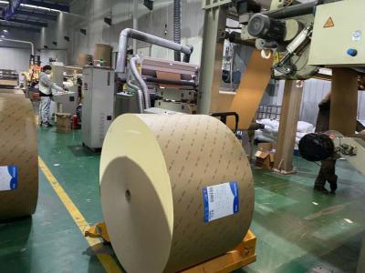 China Eco-Friendly PE Coated OEM Kraft Paper Roll In Natural Color for sale