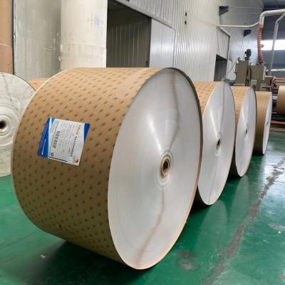 Cina Del vergine di Eco pasta di cellulosa la carta patinata del PE di carta enorme del rotolo 1200mm in rotolo per la fabbricazione della tazza in vendita