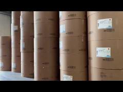 Bio Degradable PE Paper Roll 185 Grammage Paper Cup Raw Material