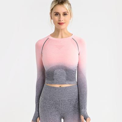 China Breathable 2020 Thumb Hole Gym Clothing Seamless Fitness Clothing Joint Yoga Crop Tops Long Sleeves Crop Top for sale