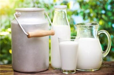 China Veilig natuurlijk zuivere melk smaakpoeder met fruit bananenzoetheid Te koop