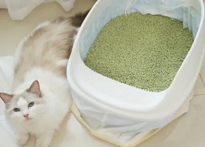 China Long Lasting Pet Cat Litter With Enhanced Odor Control 25kg Packing for sale