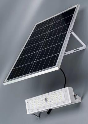 China Solar Flood Light -TGWT-100W for sale