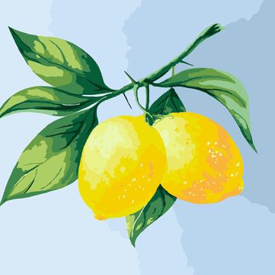 China Simple Hand Painted Digital Oil Painting Waterproof+ECO-Friendly Lemon Decorative Digital Oil Painting for sale