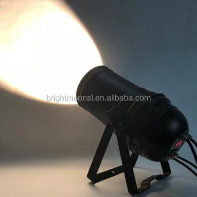 China Newest Warm White 200W Zoom Led Par Can Present Light Manual Low Price Made In China BMF202 for sale