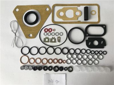 China 7135-70 Fuel Injection Pump Repair Kit , Diesel Injection Pump Rebuild Kit for sale