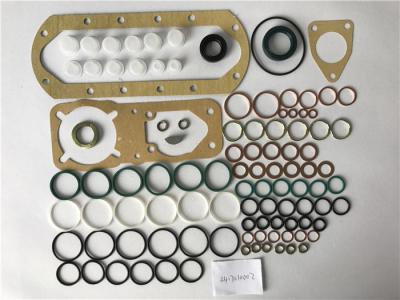 China 2417010002 Diesel Fuel Injection Pump Rebuild Kit for sale