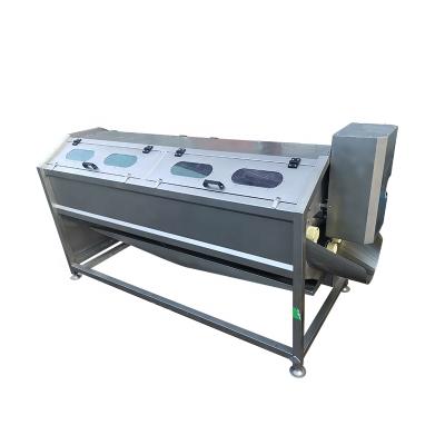 China Industrial Electric Vegetable Processing Plant Potato Peeling Machine Garlic Clove Peeling Machine Factory Price for sale