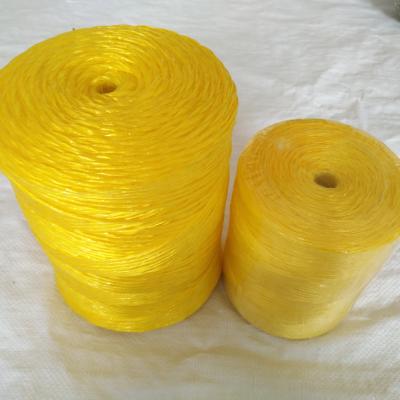 China Greenhouse Tomato Twine Greenhouse PP Tomato Twine for sale