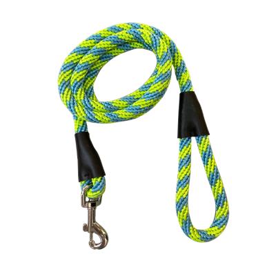 China Large Padded Heavy Duty Braided Reflective Nylon Round Rope Dog Leash Wholesale for sale