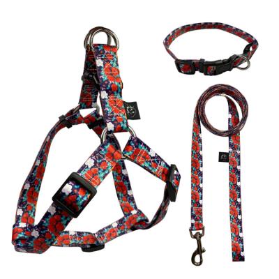 China Padded Outdoor Walking Control Pet Leash Harness Running Training Dog Collars Easy Set for sale