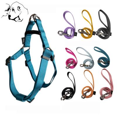 China OEM Custom Designers Padded Dog Harness Set Adjustable Dog Harness And Leash Set for sale