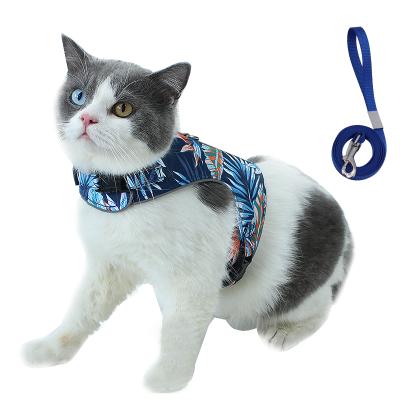 China Padded Cartoon Printing Thoughtful Cat Harness and Leash Set for sale