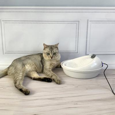 China Sustainable Automatic Cat Water Fountain Pet Water Fountain Cat Water Fountain Stainless Steel for sale