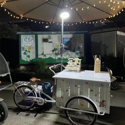 China 200kg Capacity Customized Color Fast Food Cart Bike Electric Food Ice Cream Truck for sale