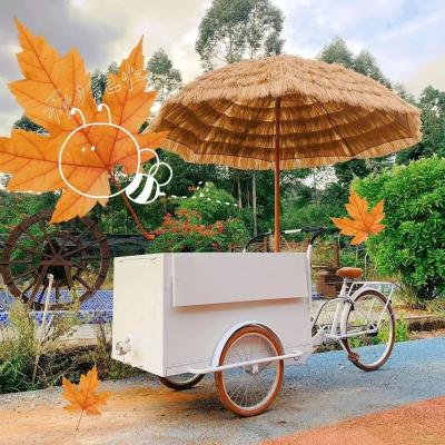 China Mobile Food Bike Carts Bicycle Nuts Snack Food Cart with and Mobile Hot Dog Cart for sale