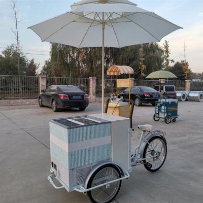 Cina 100 kg Classic Ice Cream Bike Fast Food Trailer Truck Tricycle per impianto di condimenti in vendita