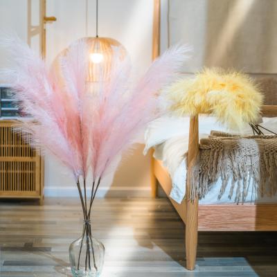 China Free Sample High Quality Natural Faux Touch Pampas Grass Large Artificial Pampas Grass For Wedding Road Decoration Home Decoration for sale