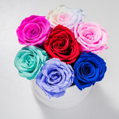 China Natural Touch Free Sample Immortal Infinity Flowers Cheap Preserved Roses For Blooming Christmas Valentine Custom Western Gifts Wedding for sale