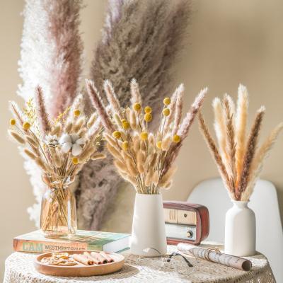 China Decorate Free Sample Amazon Success Flower Dried Pampas Grass For Party Decorations Home Decoration for sale