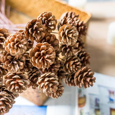 China Wedding Flower Arrangements Plant Supply Natural Brown Pine Cone With Stem Dried Flower Plant Fruit Christmas Ornaments For Home Decoration for sale