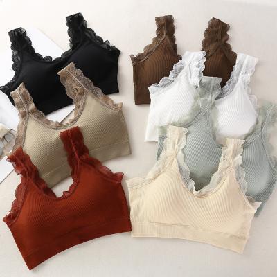 China Custom Daily Bra Women Breathable Strap Beach Padded Top Plus Size French Sport Bralette Ladies Fashion Bralettes for sale