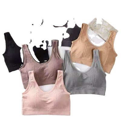 China Breathable Sheer Lightweight Color Anti - Yoga Bra With Maiden Chest Padded Seamless Sports Vest Wide Shoulder Strape for sale