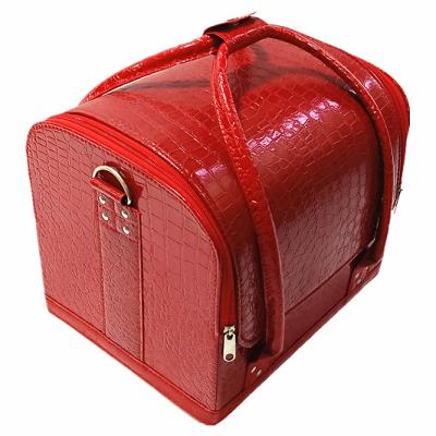 China Fashion Trendy Alligator Aluminum Makeup Bag/Case for sale