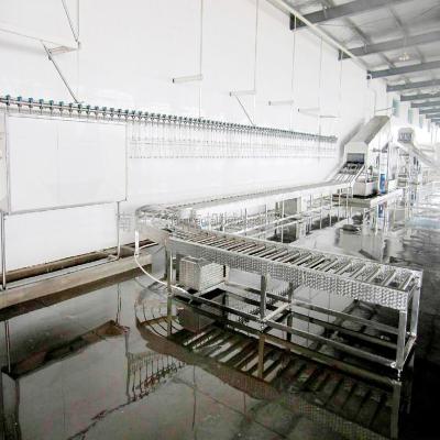 China high quality chicken slaughter line/slaughterhouse equipment à venda