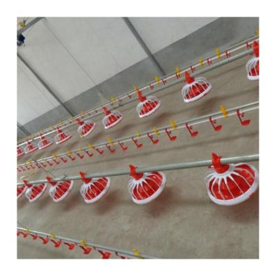 China Efficient breeding low cost chicken floor raising equipemnt floor feeding system for sale