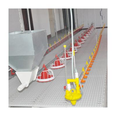 China Efficient breeding automatic Plastic Poultry Feeder raising equipment floor feeding system for sale