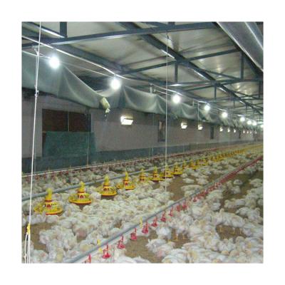 中国 Outstanding quality chicken floor raising equipment floor feeding system 販売のため