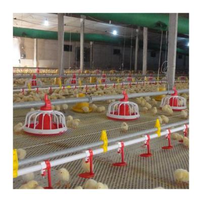 China Automatic type floor feeding system broiler floor ground feeding system plan design for sale