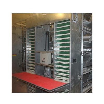 Cina Custom-made broiler cage hot-dip galvanized wire cage in vendita