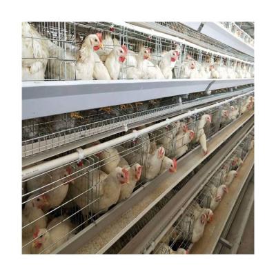 Cina layer chicken battery cage for poultry chicken layer price chicken egg layer cages in vendita