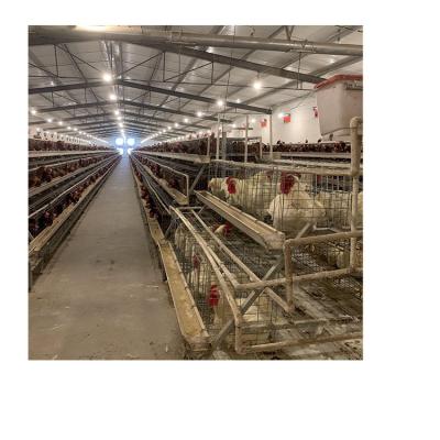 China animal Layer cage metal Chicken Egg Cage egg chicken layer cage for farm for sale