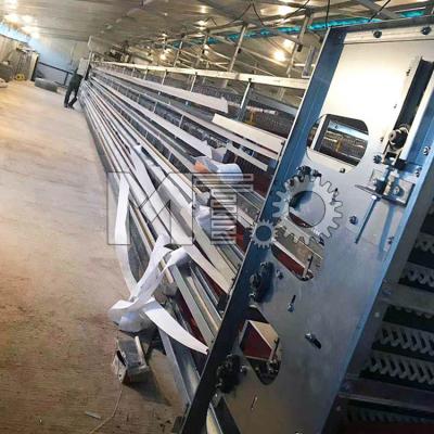 China H-wire mesh metal Quail Breeding Cages and fully automatic quail cages are poprula on quail farms en venta