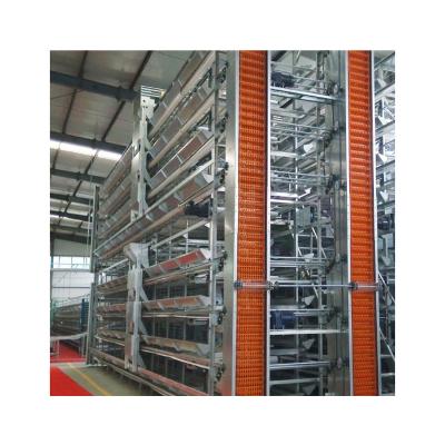 China quail cages for egg production quail laying cage quail cages for egg production for sale Te koop