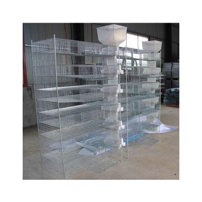 Κίνα quail cages for egg production quail farm cage quail laying cage προς πώληση