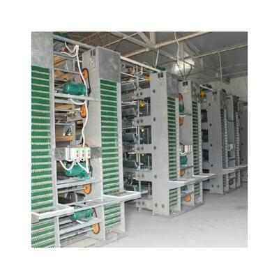 China quail cage automatic quail layer cages quail cages for sale Te koop