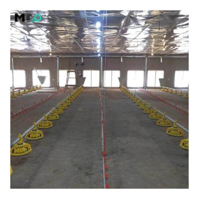 China poultry farming Breeder chain feeding System new design for sale