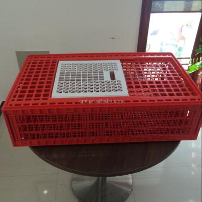 China best selling Plastic live chicken transport cage for the slaughter farm à venda